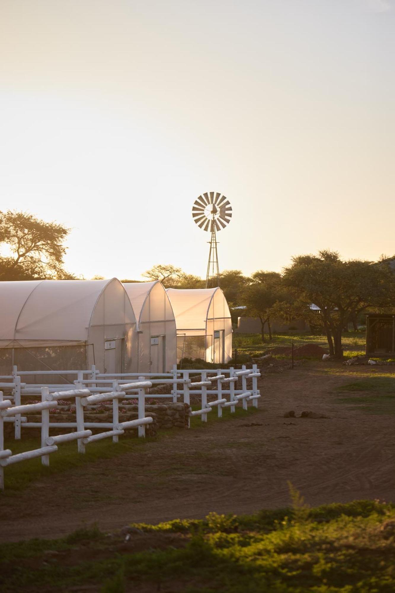 Gmundner Lodge Windhoek Dış mekan fotoğraf
